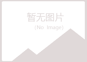 珠山区清新咨询有限公司